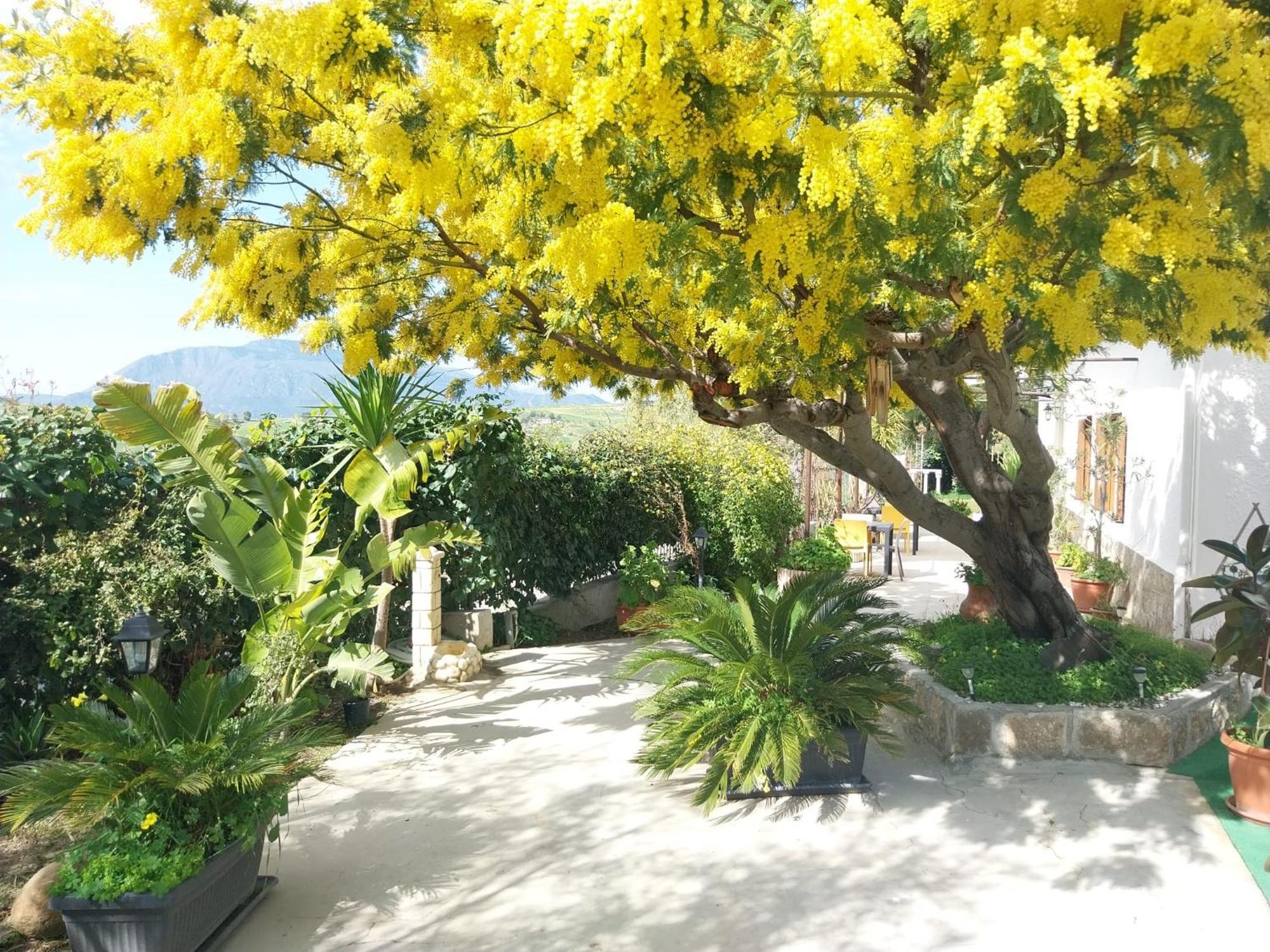 Casa Lachesi Caccamo Ngoại thất bức ảnh