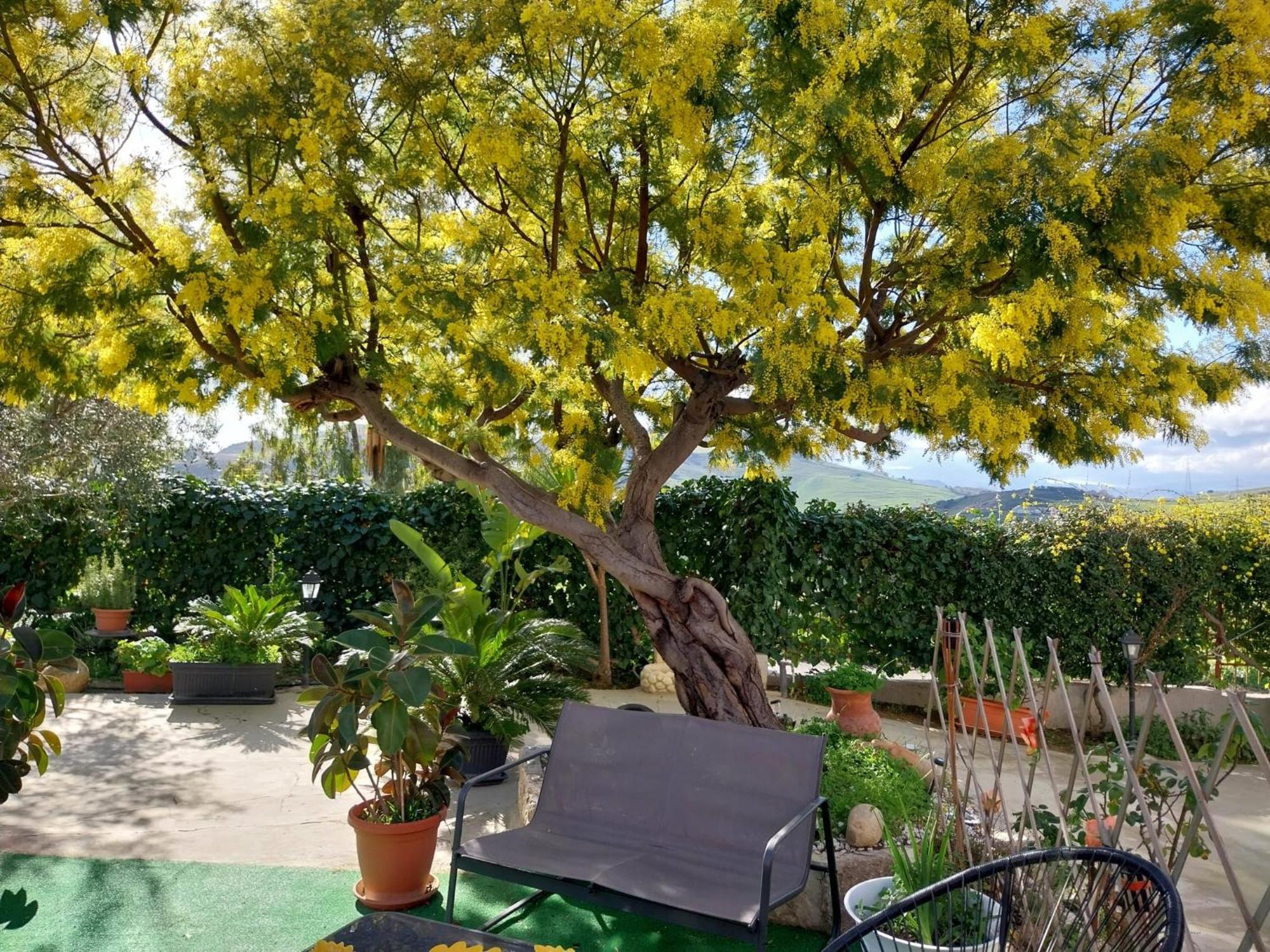 Casa Lachesi Caccamo Ngoại thất bức ảnh